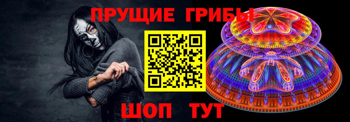 Псилоцибиновые грибы Psilocybe  Вход с VPN  Ковров 