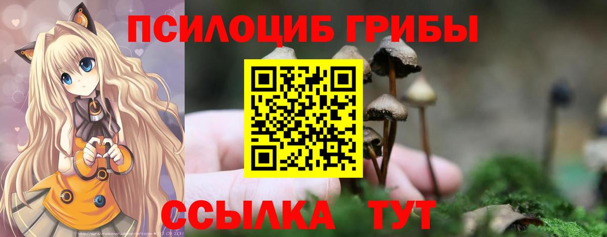 Галлюциногенные грибы мицелий Ковров